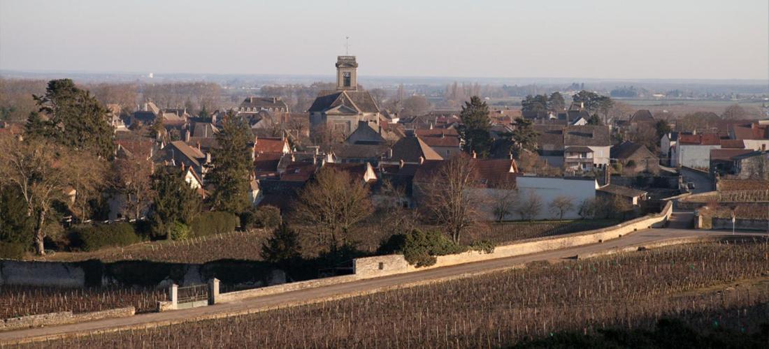 Domaine Violot-Guillemard Bed & Breakfast Помар Екстериор снимка